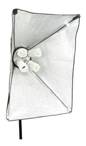 Imagen 2 de 6 de Fancierstudio Kit Iluminacion 2000w Pantalla Chromakey