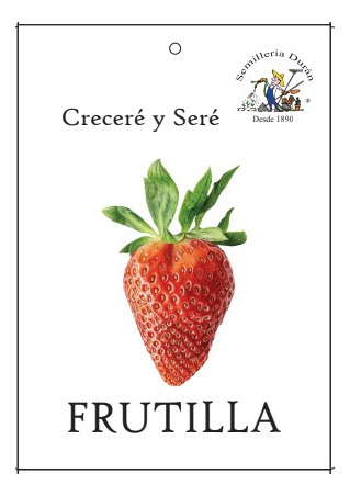 Semillas De Frutilla