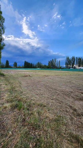 Imagen 4 de 9 de Lotes Ubicados En Maipu Lulunta , Mendoza.