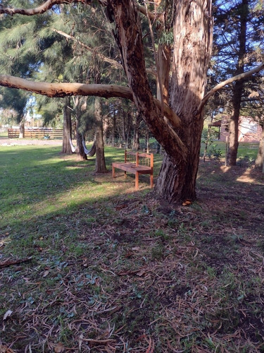 Imagen 9 de 13 de Cabañas La Soñada Chascomús