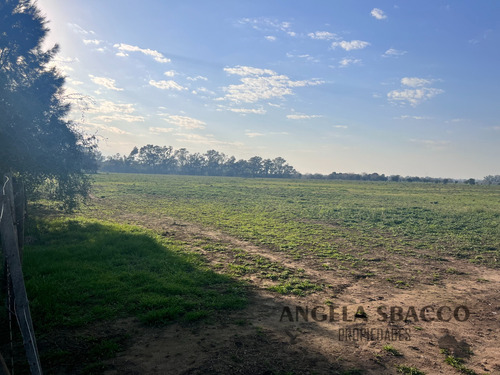 Excelente Campo Agrícola/ganadero!.