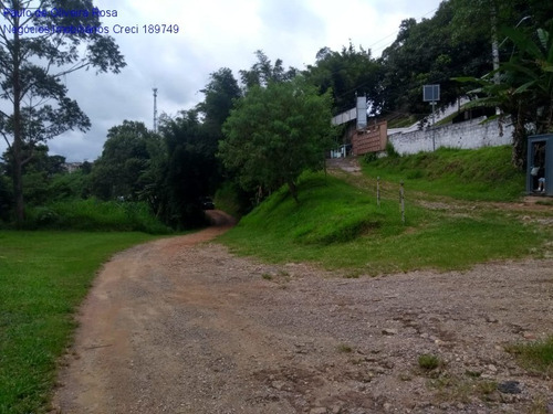 Imagem 12 de 22 de Terreno - Te00049 - 69287773