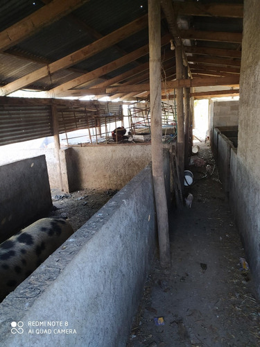 Vendo Buen Campo Con Casa Y Galpón Tajamarar Para Riego!!!