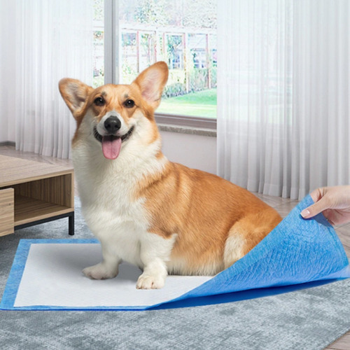 Imagen 4 de 10 de Pack 100 Pañales Sabanillas Grande Para Mascotas 60*60 Cm