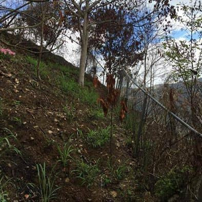 Imagen 5 de 7 de Terreno A La Venta En Lagune