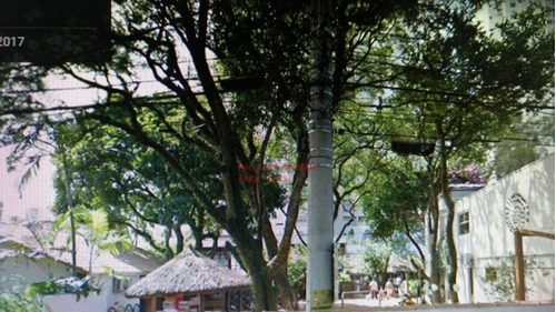 Imagem 1 de 1 de Galpao - Vila Olimpia - Ref: 1736 - V-8146513