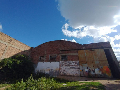 Imagen 17 de 30 de Depósito En Alquiler En La Plata Calle E / Y 525 Y 526 - Dacal Bienes Raices