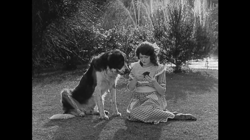 Buster Keaton Serie De Peliculas Similar A Charles Chaplin