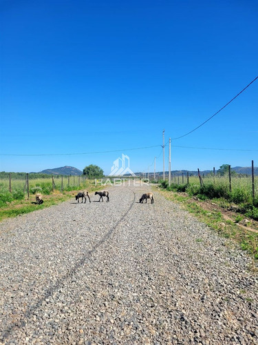 Hermosa Parcela En Venta Camino A Zapallar En Curicó
