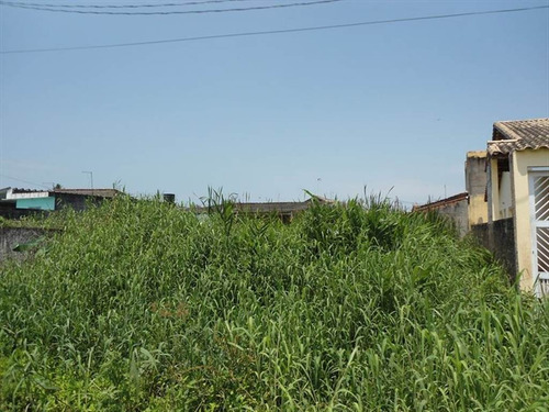 Imagem 4 de 6 de Terreno - Venda - Tupy - Itanhaem - Ita2612