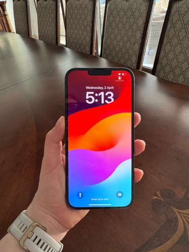 Iphone 13 Pro Max Grafito 1tb Gris Oscuro (Usado)