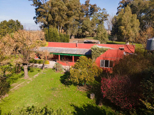 Imagen 27 de 29 de Chacra - Casa Quinta De 20 Ha En Uribelarrea