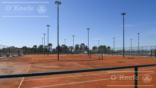 Lote En Venta En Puerto Nizuc - Oportunidad De Inversión En Guillermo Hudson