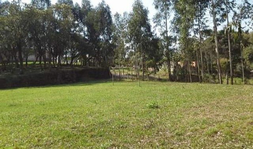 Imagem 3 de 15 de Chácara Para Venda Em Quitandinha, Zona Rural - Qui3300_1-2030544