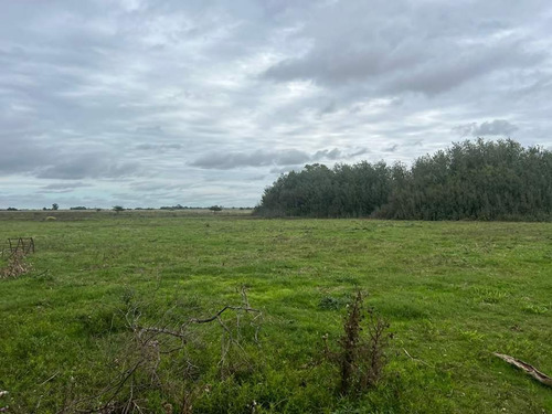 33 Ha Con Casa, 3 Potreros, Mangas, Molino, Galpón, Parrilla, Pileta