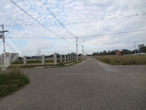Imagem 8 de 9 de Terreno - Sao Jose - Ref: 147246 - V-147246