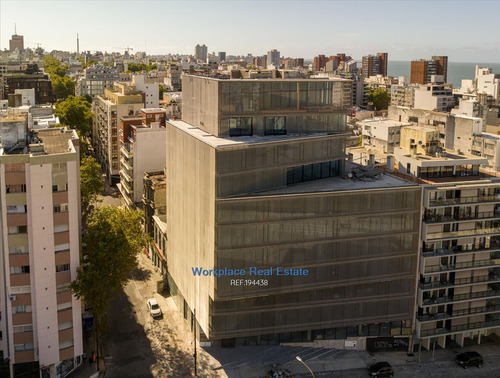 Imagen 3 de 18 de Oficina Alquiler - Metros Rambla Y Plaza Independencia Cw194438