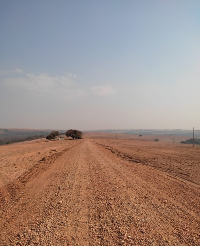 Imagem 10 de 14 de Vendo Fazenda Para Cultura Regiao De Araxa ( 6156 )