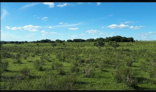 Imagen 5 de 7 de Campo En Venta Tala, Exelente Oportunidad