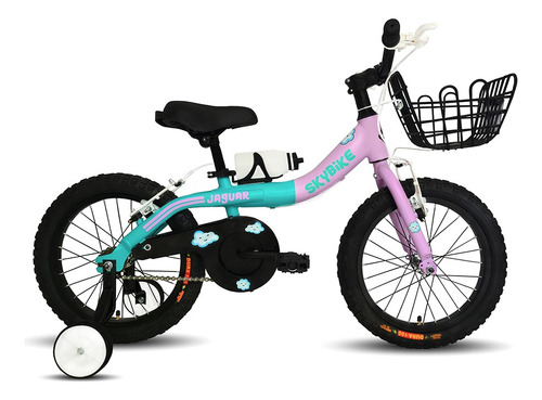 Bicicleta Skybike Niña Infantil Ruedas Entrenadora Rodada 16 Color Verde/lila