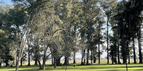 Imagen 30 de 30 de Venta Terreno Barrio Isla 1333mtrs Club De Campo Los Tres Pinos General Rodriguez