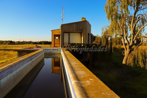 Imagen 2 de 14 de En Venta - Chacra En Colonia De Sacramento