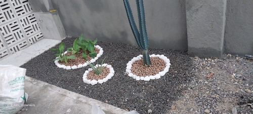 Jardineiro Profissional