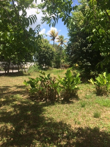 Melhor Área P/loteamento 91m Beira Pista, Granja 5.05 Hec, Guabiraba, Aceito Imóvel Ou Carro - Ch00009 - 67721727