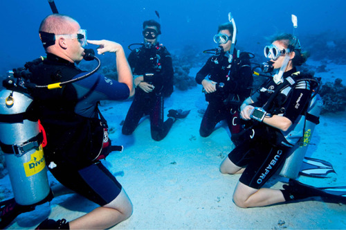 Cursos De Buceo Padi Certificación Mundial Y De Por Vida