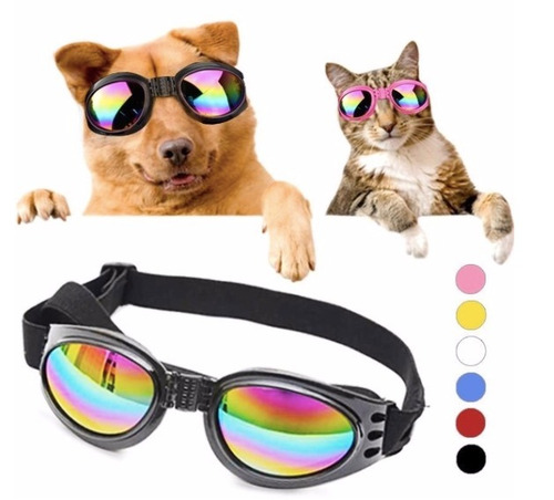 5 Gafas Perros Proteccion Uv Envio Gratis