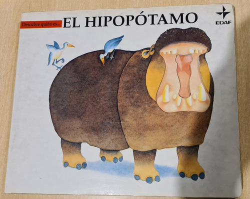 Descubre Quien Es El Hipopotamo?