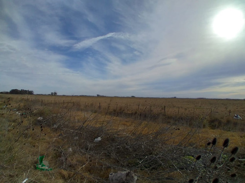 Imagen 4 de 7 de Venta De Campo De 48há En San Vicente