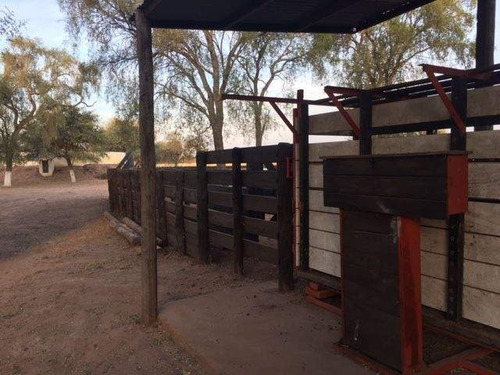 Imagen 16 de 18 de Venta Campo En Santiago Del Estero, Norte De Monte Quemado
