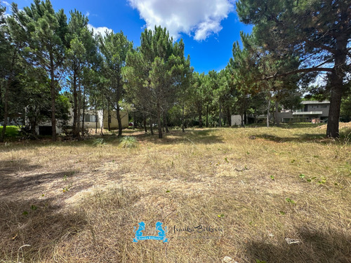 Venta Oportunidad Lote - 1354 Metros - Costa Esmeralda Barrio Residencial 1