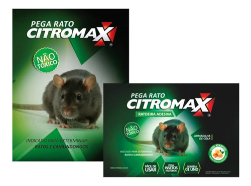 Armadilha Ratoeira Adesiva Rato Camundongo Não Tóxica 12un