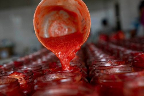Imagen 2 de 9 de Tomate Triturado 450g Pack X 10