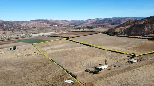 Imagen 4 de 7 de 10 A 40 Ha A Un Costado De La Cetto En Valle De Guadalupe