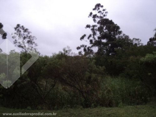 Imagem 10 de 15 de Terreno - Restinga - Ref: 170607 - V-170607