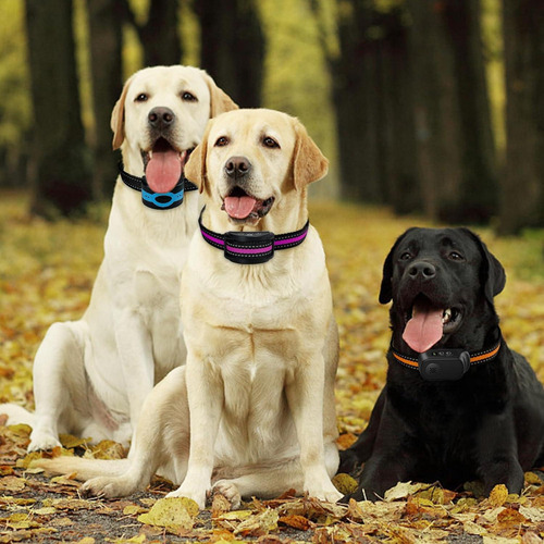 Correa Reflectante De Nylon Thowapou Ajustable Para Perros