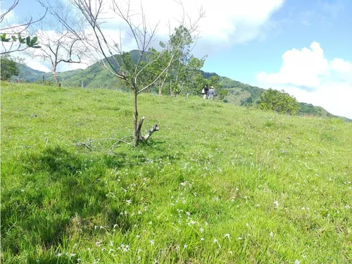 Se Vende Lote En Sanjeronimo (antioquia) 20 Hectáreas + 8.000 Mtr2