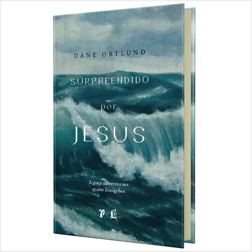 Livro Surpreendido Por Jesus - Dane Ortlund, De Dane Ortlund. Editora Thomas Nelson Em Português