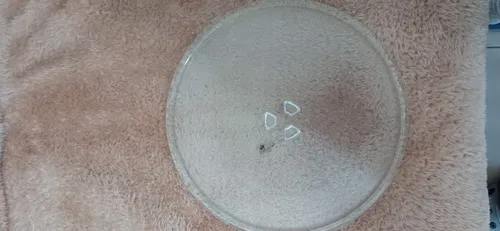 Plato Para Microondas (Usado)