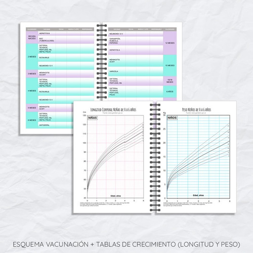 Agenda 2026 Pediatrica Editable A4 A5 (ppt + Pdf) Permanente Multicolor Pediatrica 2026