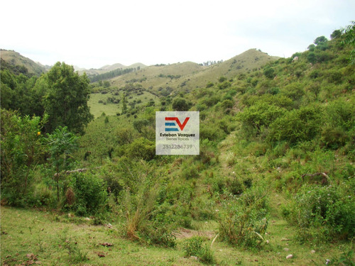 Imagen 20 de 30 de Venta. 67 Hectareas En Candonga, Cordoba. Con 2 Km De Costa De Rio. Titulos Perfectos
