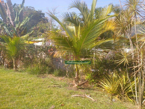 Imagem 14 de 29 de Sobrado Com 3 Dormitórios À Venda Por R$ 650.000,00 - Granjas Rurais Reunidas São Judas Tadeu - Taubaté/sp - So2486