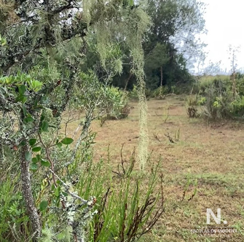 Chacra De 5 Has En Aigua , Maldonado