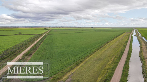 Campo Agrícola Ganadero 930ha Rocha (ref: Atm-6960)