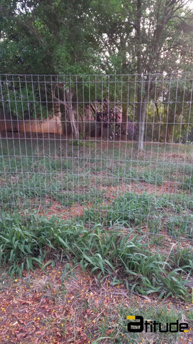 Imagem 11 de 14 de Lindo Terreno 2 Plano, Parque Santana. - 5326