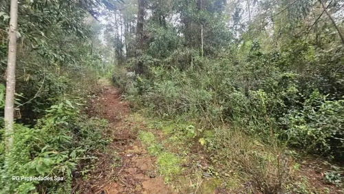 Terreno De 5 Hectáreas En Punucapa, Valdivia