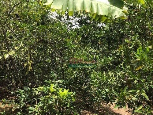 Imagem 4 de 14 de Chácara Com 4 Dormitórios À Venda, 6000 M² Por R$ 220.000,00 - Zona Rural - Paraisópolis/mg - Ch0703